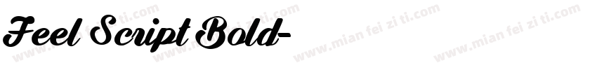 Feel Script Bold字体转换